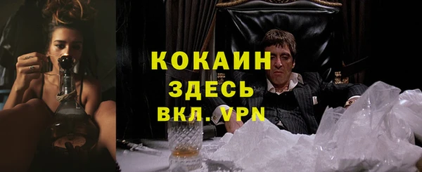 мяу мяу мука Богданович