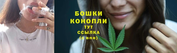 крисы Белокуриха