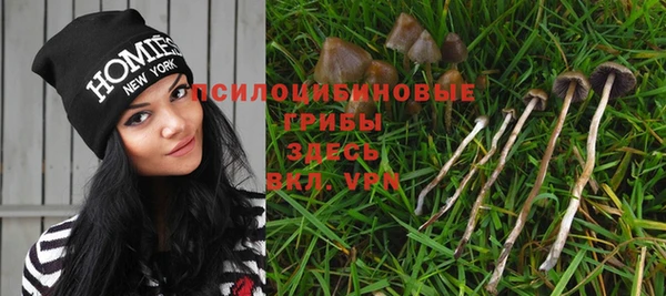 гидропоника Беломорск