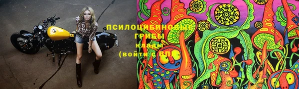 гидропоника Беломорск