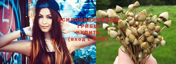 крисы Белокуриха