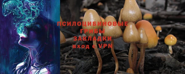 крисы Белокуриха
