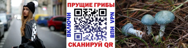 гидра онион  Мглин  Галлюциногенные грибы MAGIC MUSHROOMS 